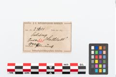 Etikett zu Bronzearmreif (NHMW-PRAE-025611)